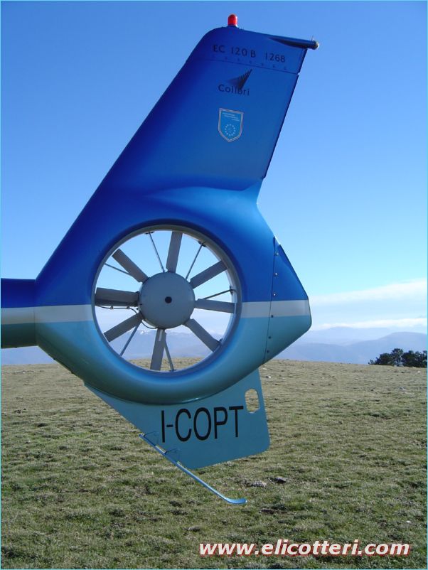 elifoto (43)